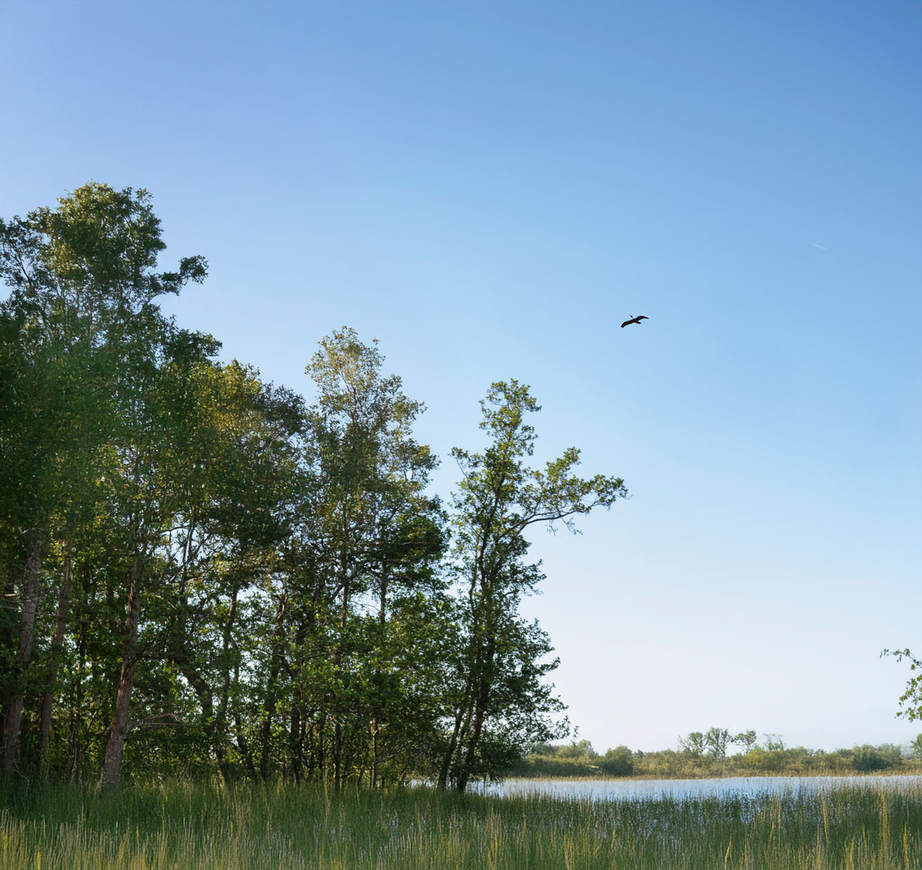 Natuurbeleving en educatie met Nivon